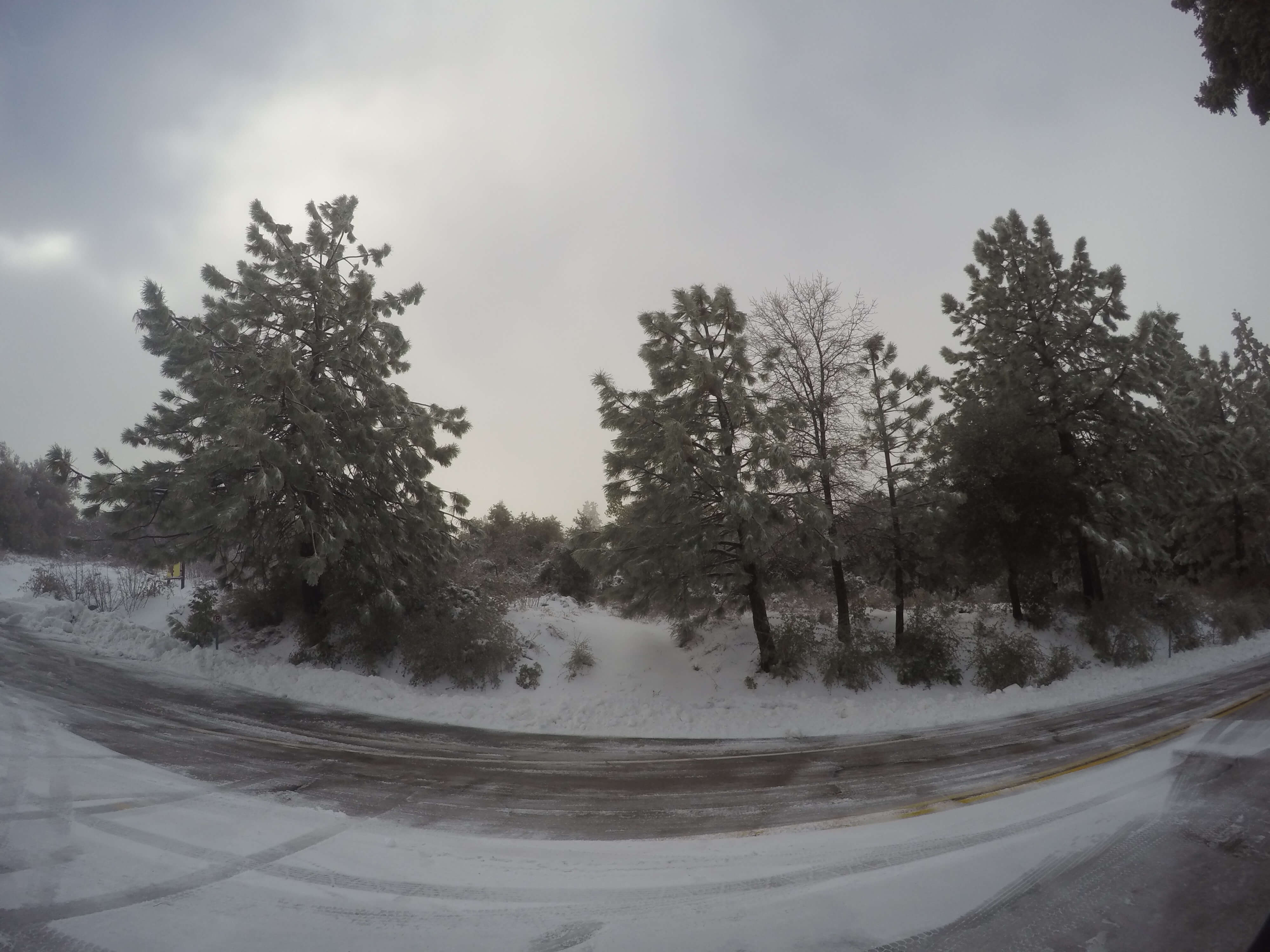 South Grade Road before the observatory parking lot Palomar Mountain